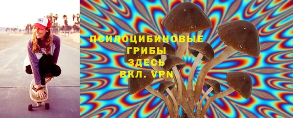 эйфоретик Корсаков