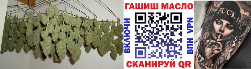 как найти   Ногинск  ТГК гашишное масло 